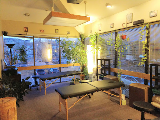 BioSoul Integration Center