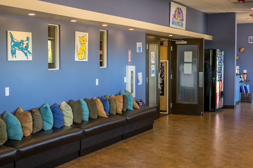 The Wellness Center
