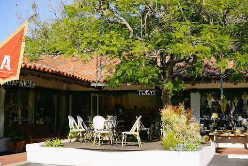 The Holistic Skin Specialist