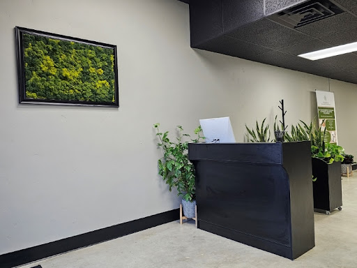 Vitalistic Wellness Institute