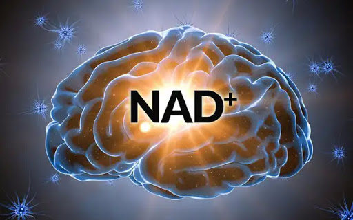 Bend Natural Health: Dr. Christopher Neary, ND