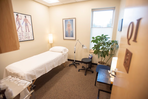 Integrative Acupuncture