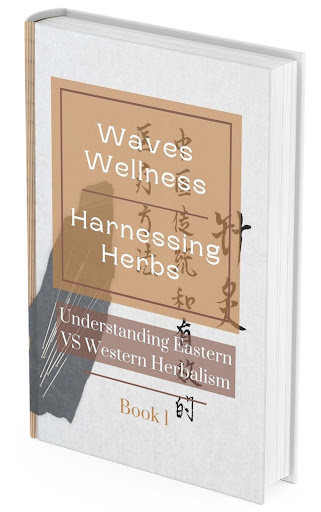 Waves Wellness Center Bristol RI 02809
