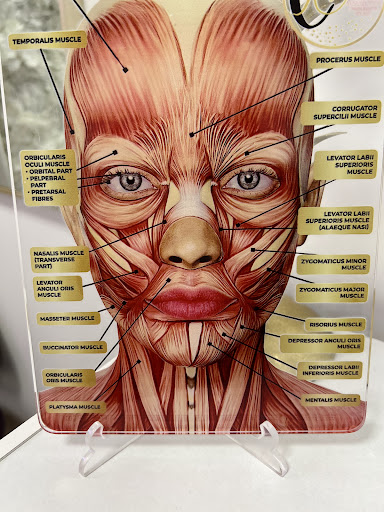 CRestrepo Aesthetics PLLC