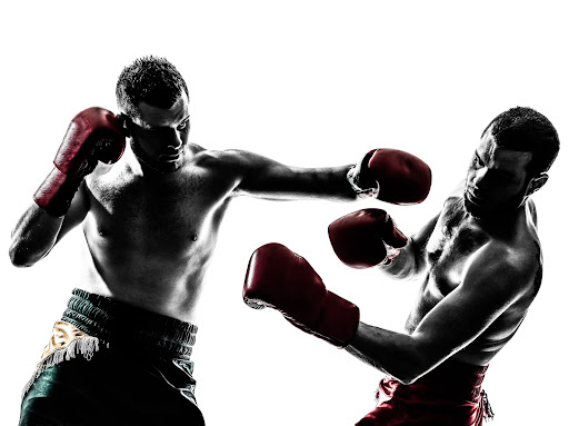 The Sugar Factory Inc - Virtual Boxing gym Trainer