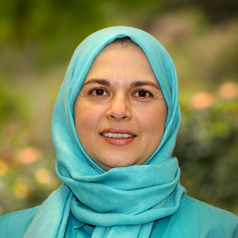 Haleh Sheikholeslami, M.D.