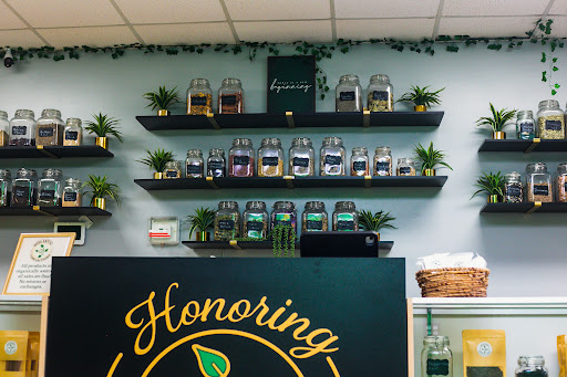 Holistic Concoctions