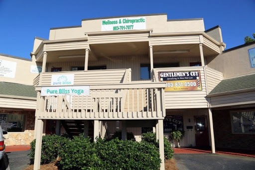 Lake Wylie Wellness & Chiropractic Center