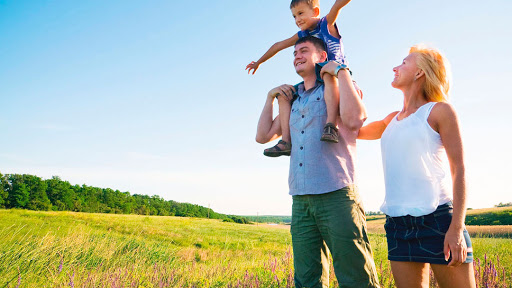 Chiropractic Pain-Wellness Care, p.c.