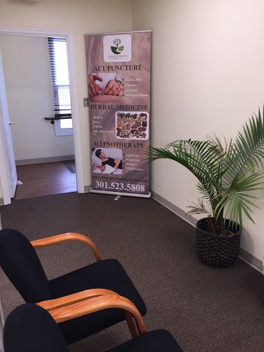 Healthy Roots Medicine
