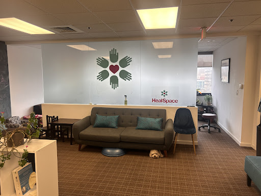 HealSpace - Prenatal & Family Holistic Center