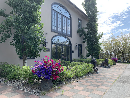 Willow Medical And Wellness
