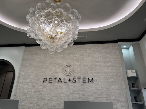 Petal + Stem Aesthetic & Longevity