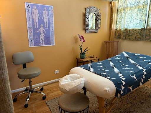 The Healing Source Therapeutic Massage & Wellness