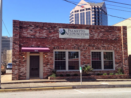 Palmetto Acupuncture and Holistic Health Clinic
