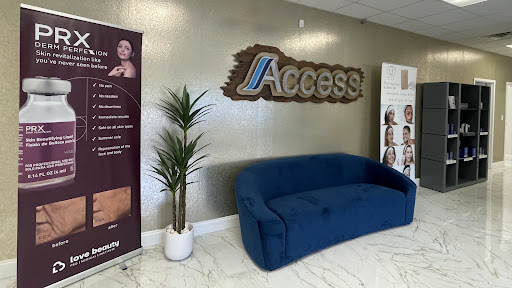 Access Aesthetics