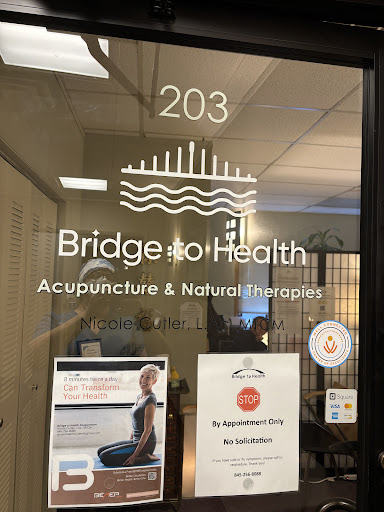 Bridge to Health