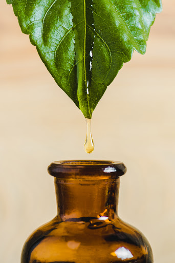 Illuminate Natural Health