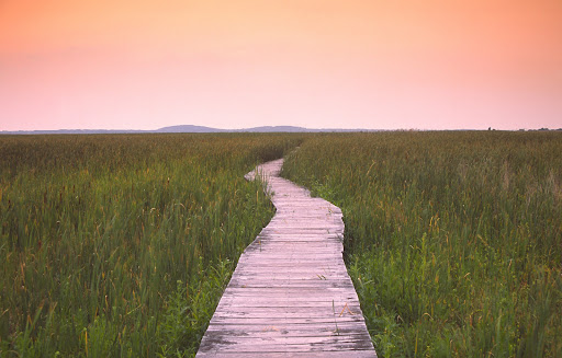 Essex Integrative Health, LLC