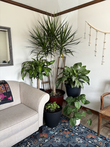 Spa Lily self care services