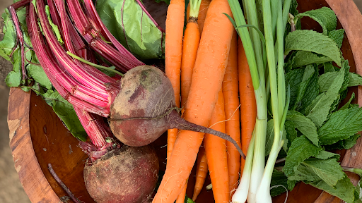 Connecticut Lifestyle Medicine