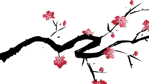 KayaKalp Acupuncture, LLC